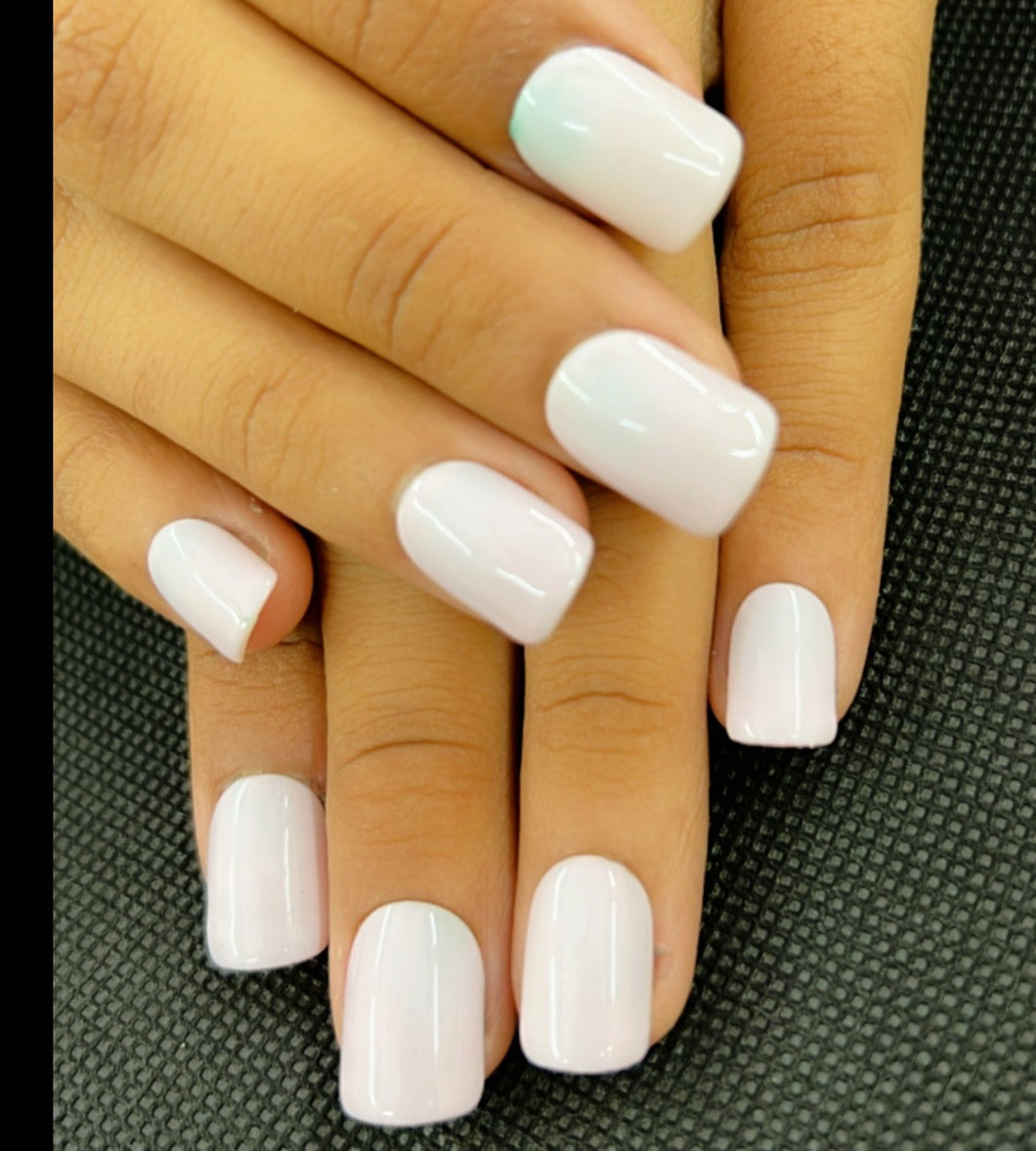 Glossy Short Press On Nails #435